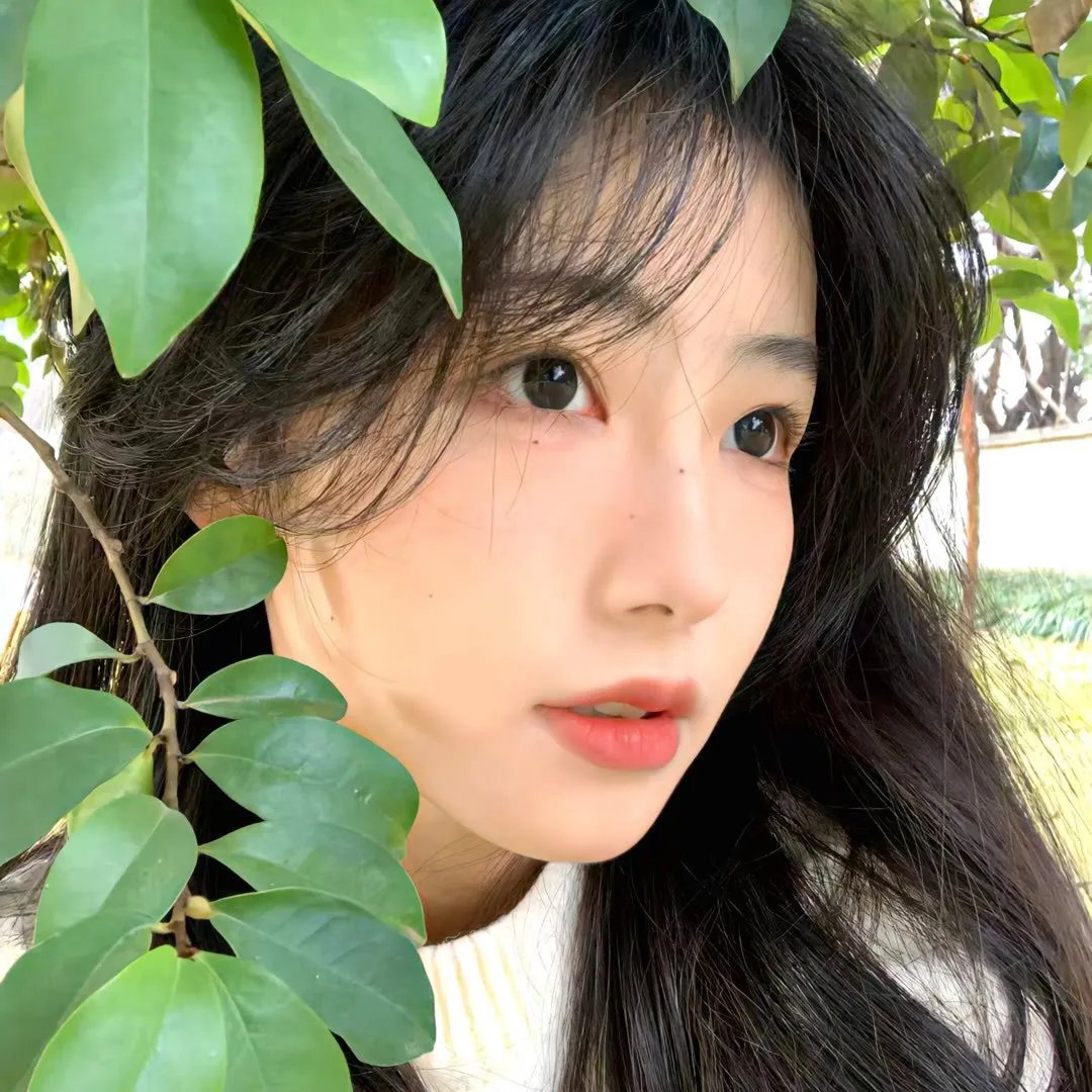好狗狗