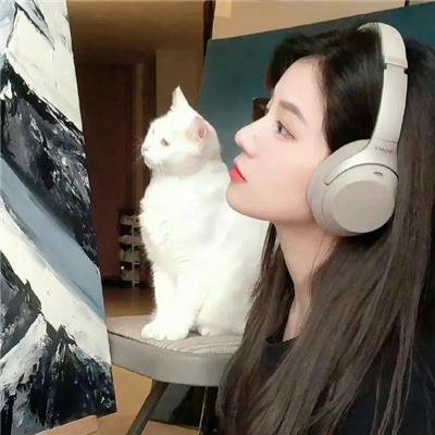 打扰伯格曼